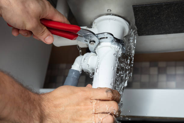 Best Water damage restoration specialists  in Whitney, SC