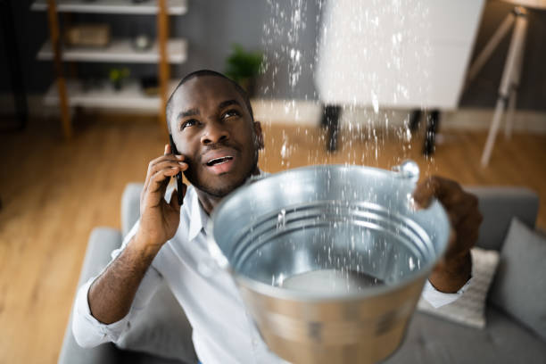 Best Water damage contractors near me  in Whitney, SC