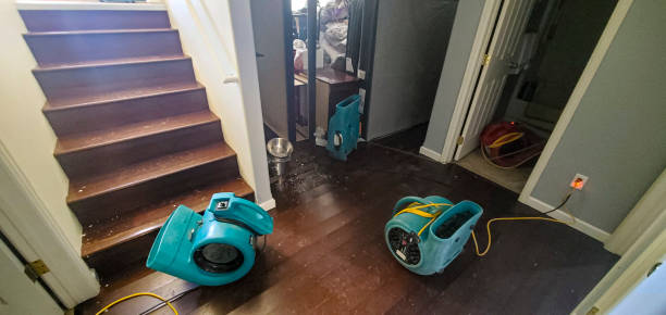 Best Water damage restoration near me  in Whitney, SC