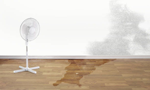 Best Flooded house restoration  in Whitney, SC