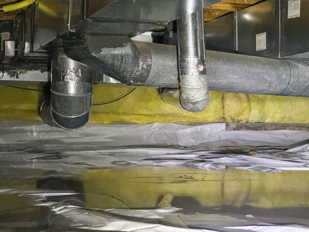 Best Professional water damage repair  in Whitney, SC