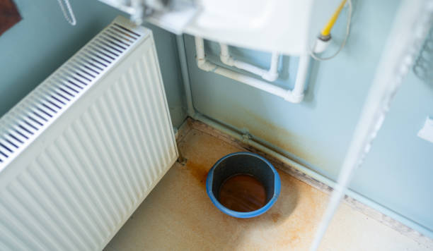 Best Water damage contractors near me  in Whitney, SC